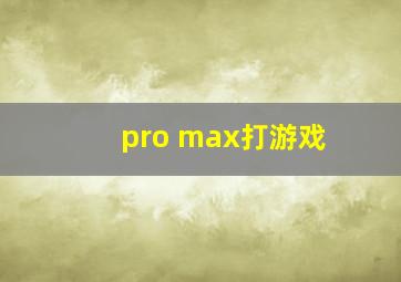 pro max打游戏